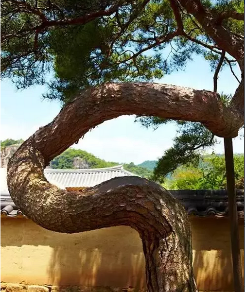 说五个去韩国自由行不可错过的民宿