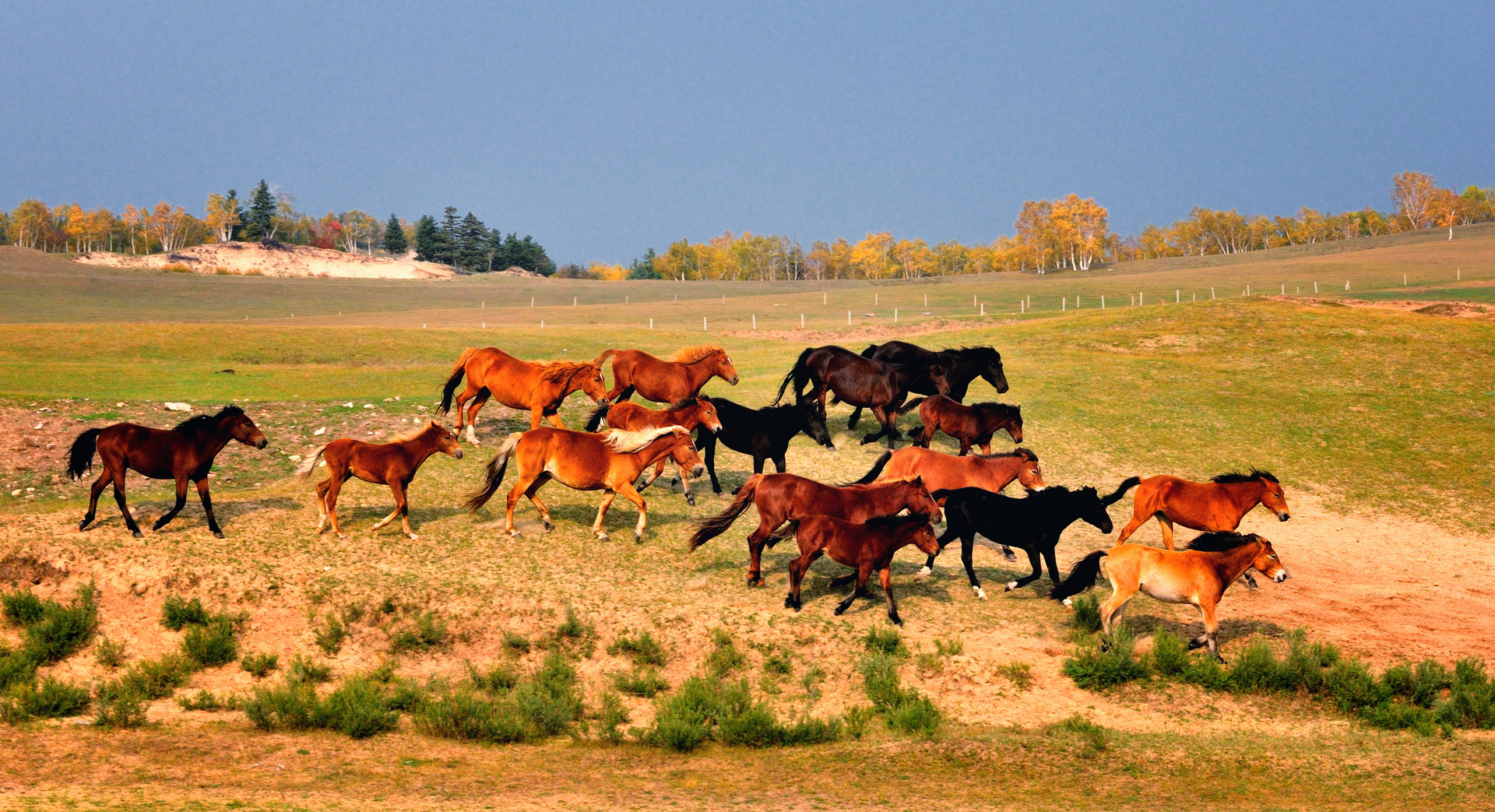 木兰围场封面图