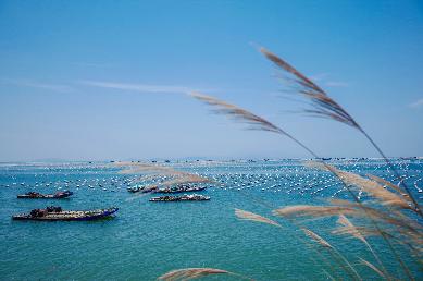 【潮汕南澳岛美食动车三天】<韩文公祠→宋代潮州古城 潮州古城灯光秀 非遗英歌舞 南澳大桥 北回归线>