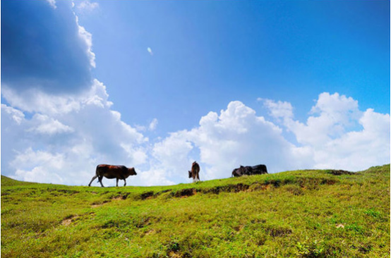 仰天湖风景区封面图