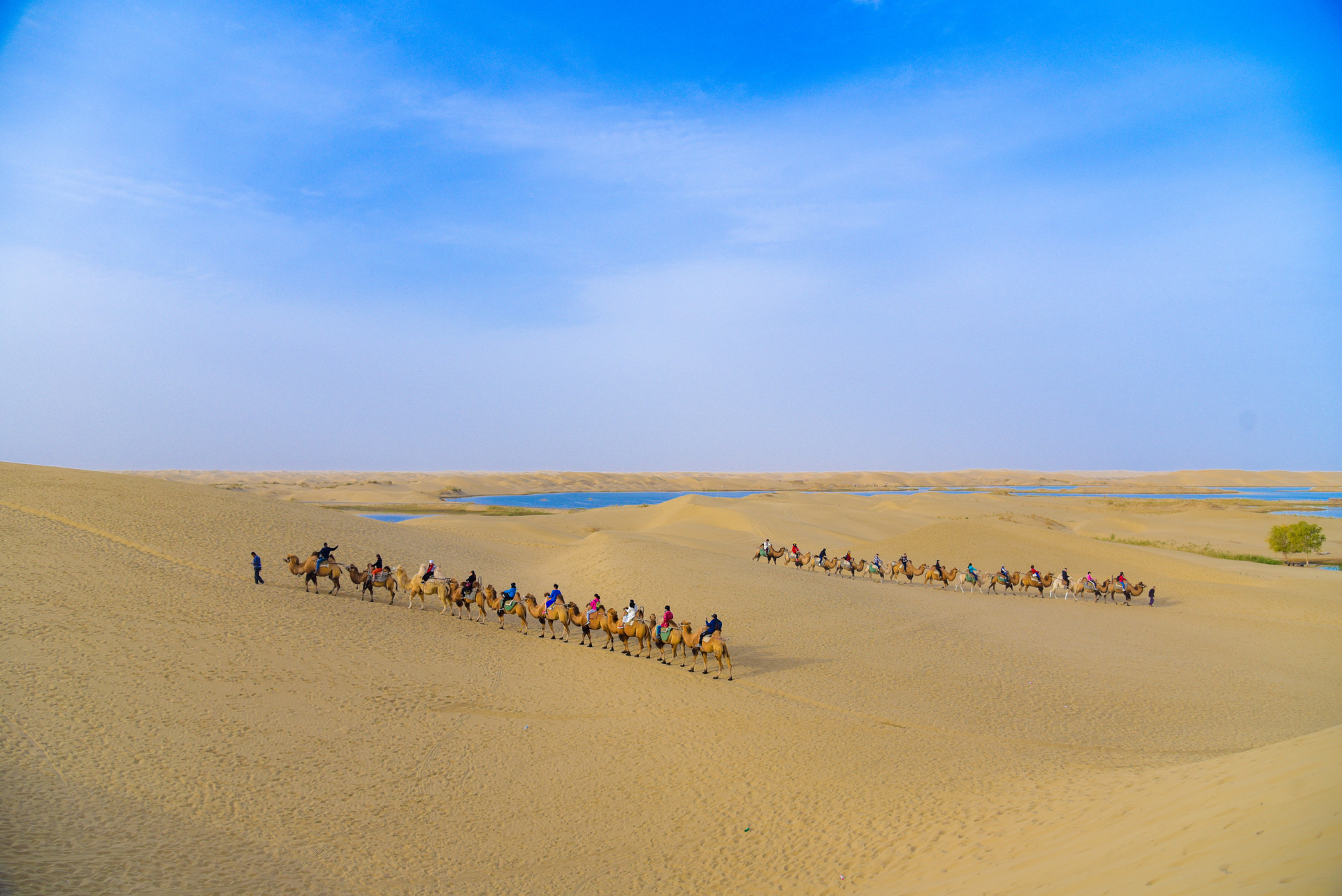 塔克拉玛干沙漠封面图