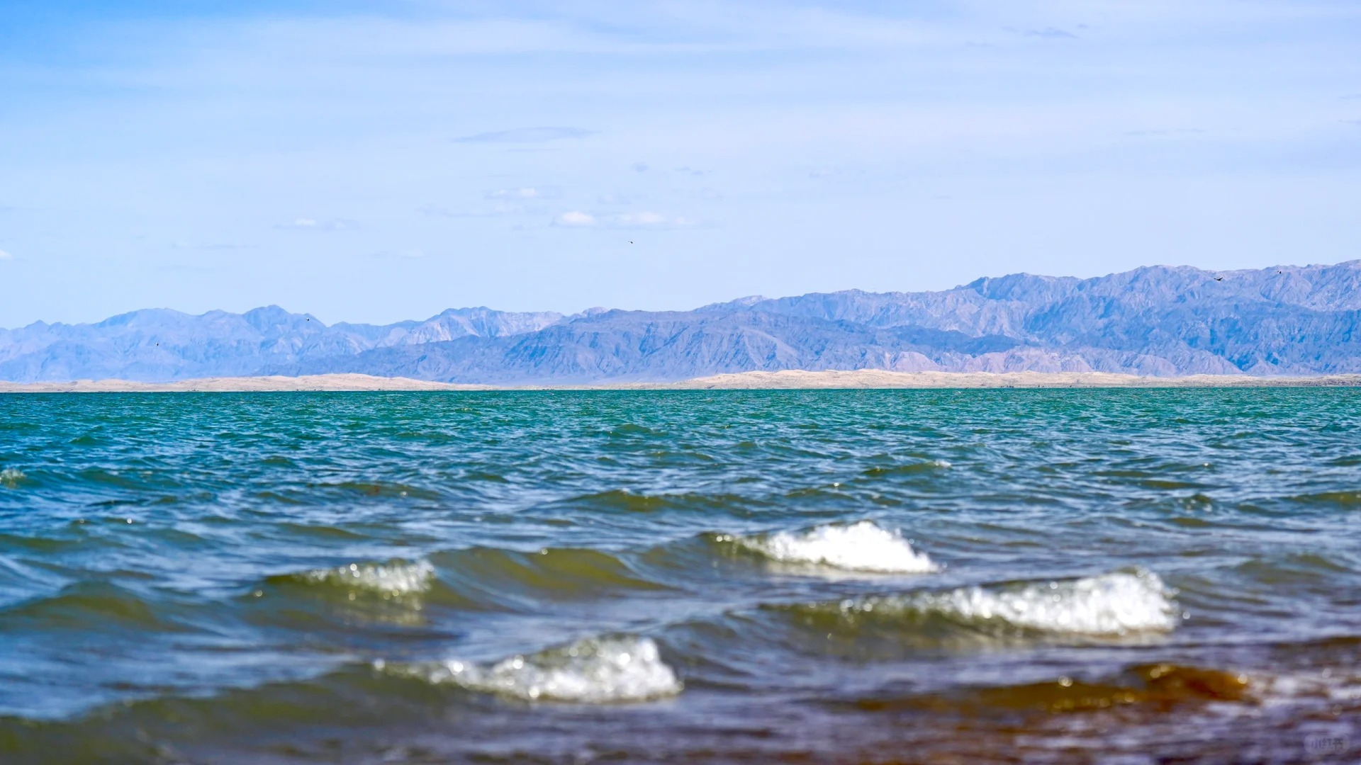 博斯腾湖封面图