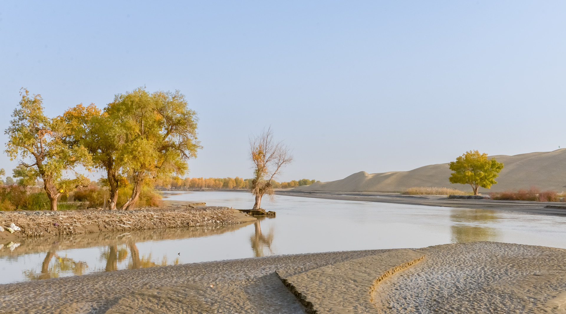 塔里木河封面图