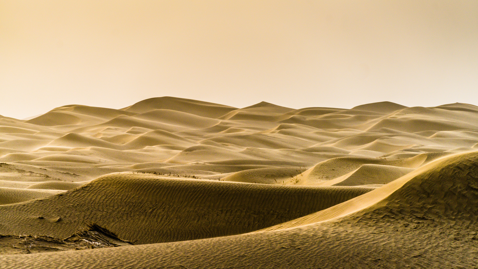 古尔班通古特沙漠封面图