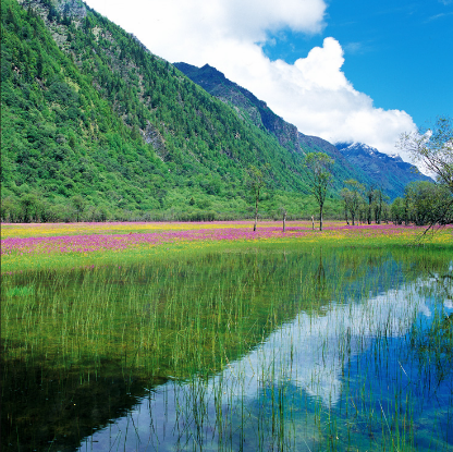 小金四姑娘山封面图