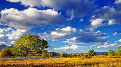 【纯玩女儿国双飞5日】<拉市海湿地公园 束河古镇 蓝月谷 印象丽江 虎跳峡 丽江古城>