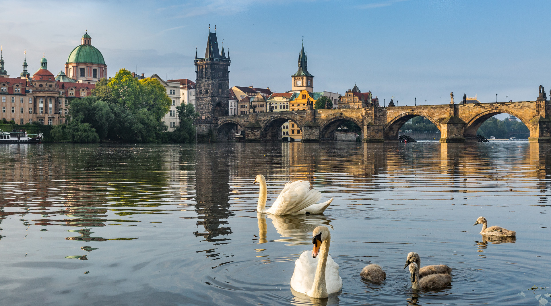 查理大桥封面图