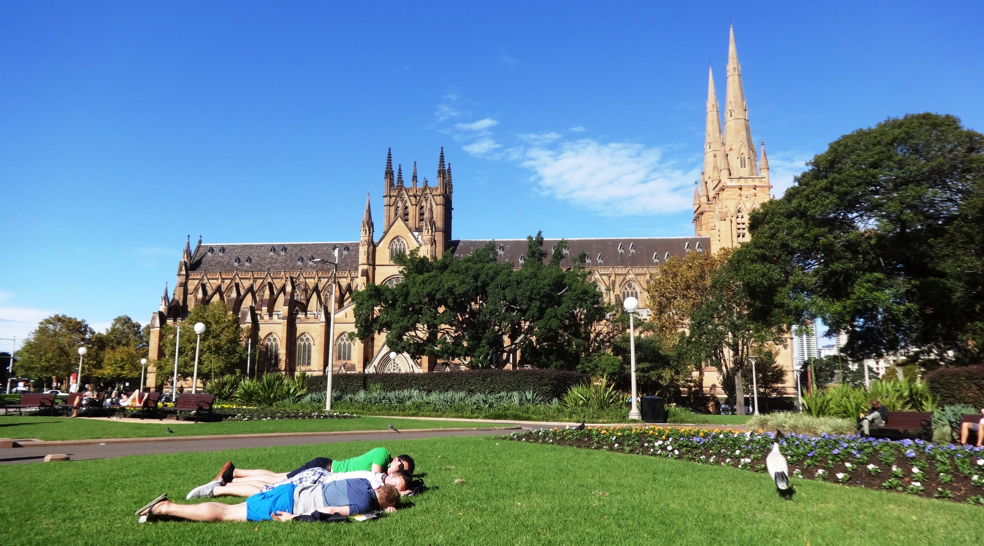 海德公园风景封面图