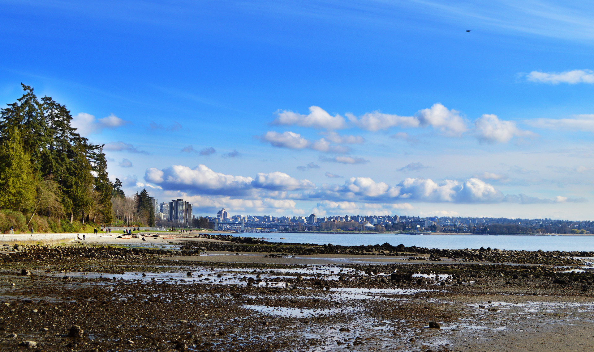 史坦利公园封面图