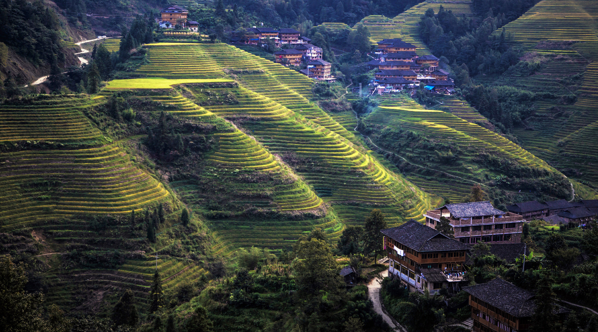 龙脊梯田封面图