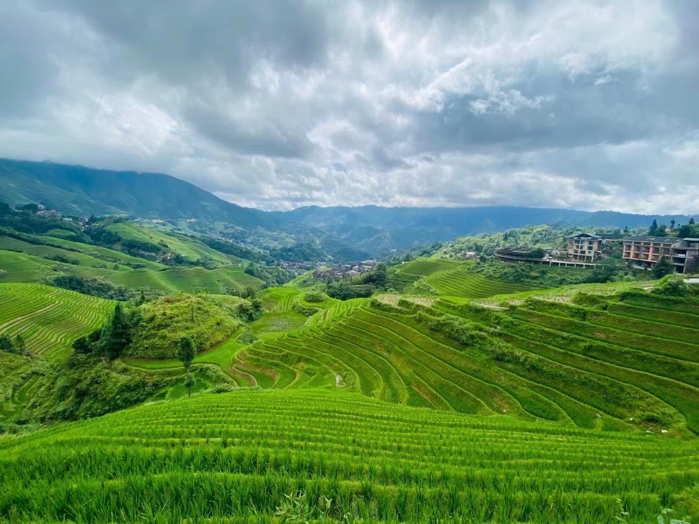 龙脊梯田封面图