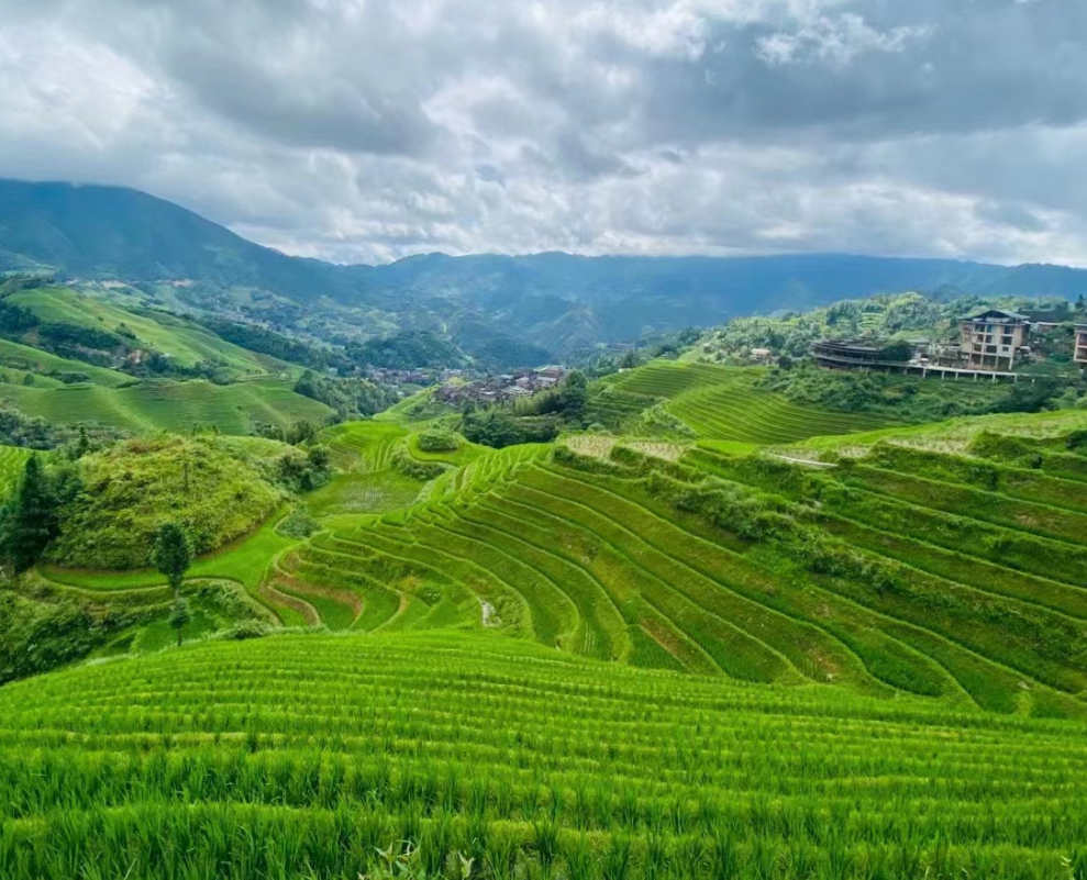 龙脊梯田封面图
