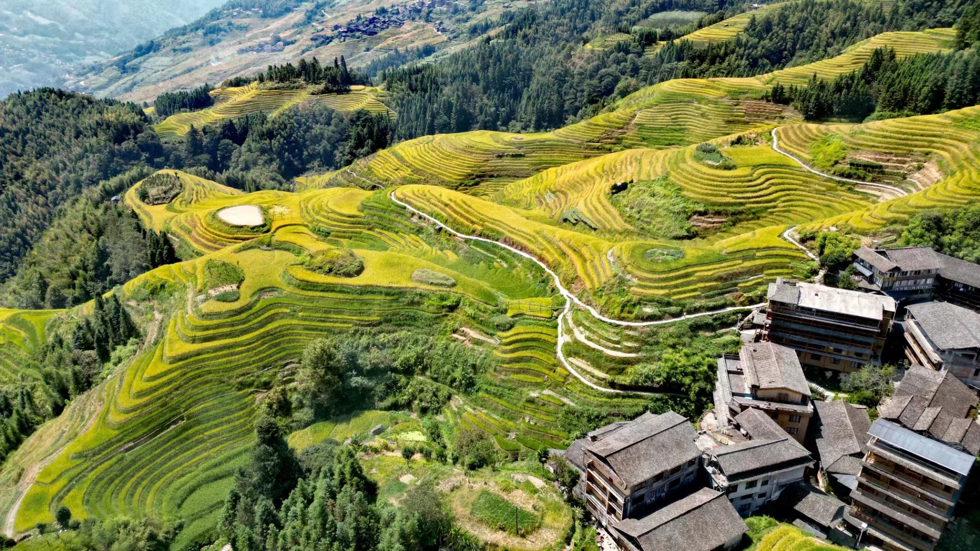 龙脊梯田封面图