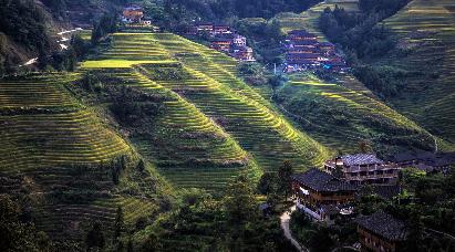 景点：龙脊梯田