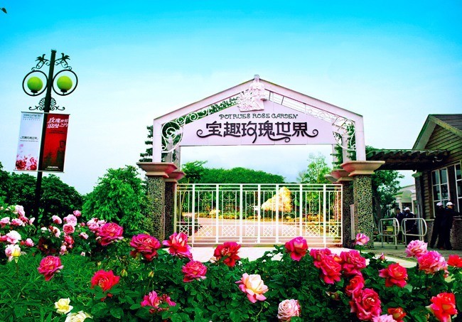 从化宝趣风车封面图