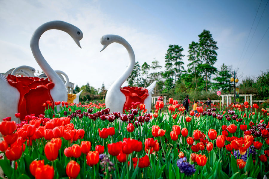 从化宝趣风车封面图