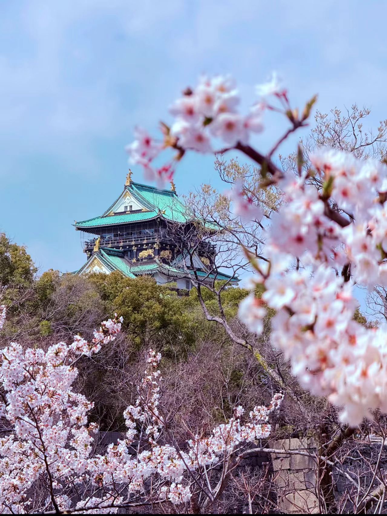 大阪城公园封面图