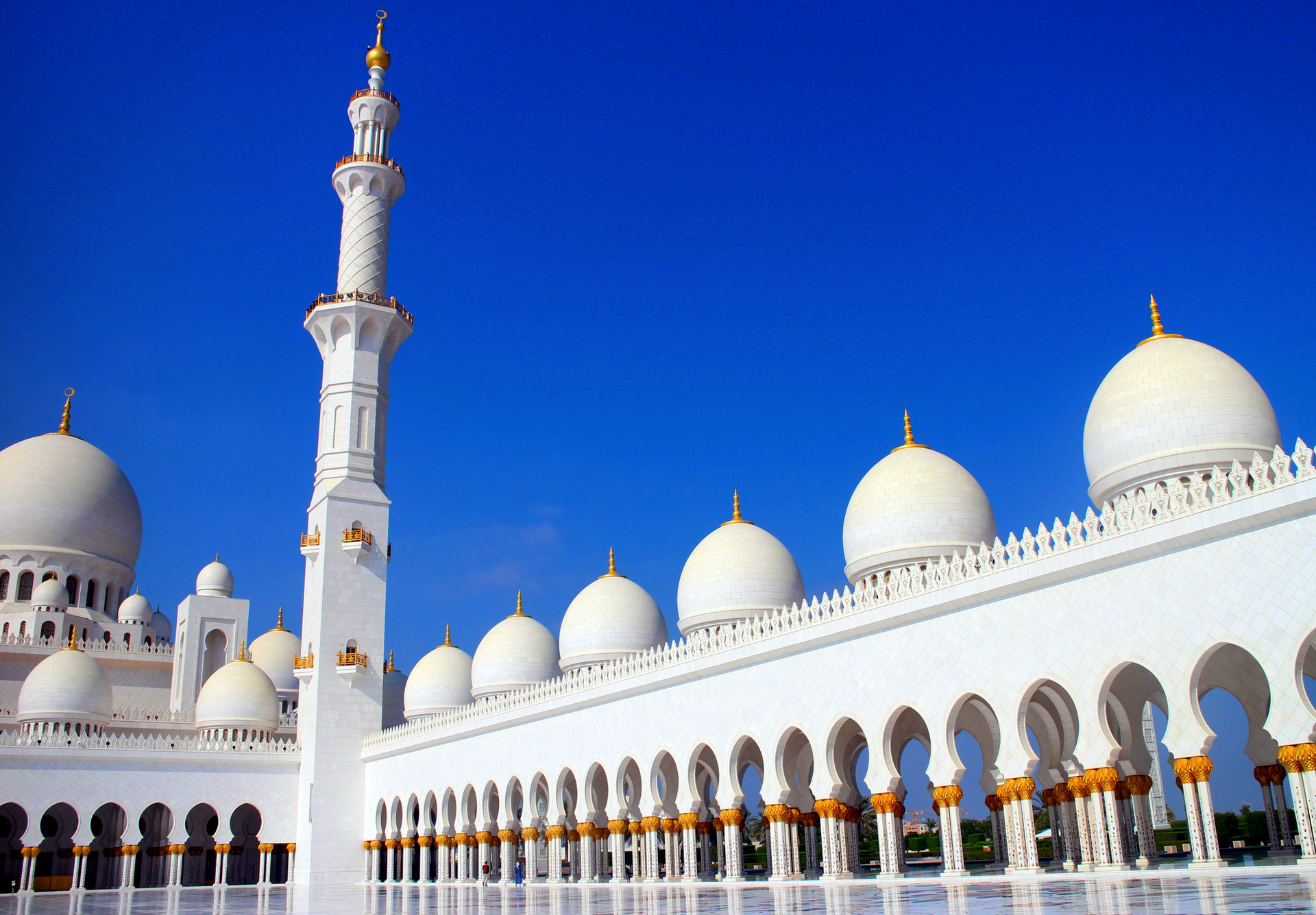 谢赫扎伊德清真寺封面图