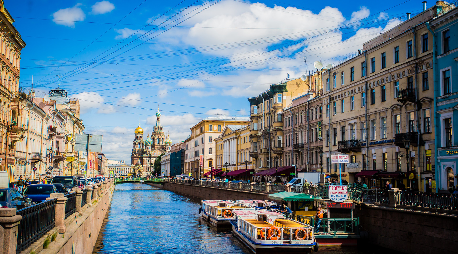 滴血大教堂封面图