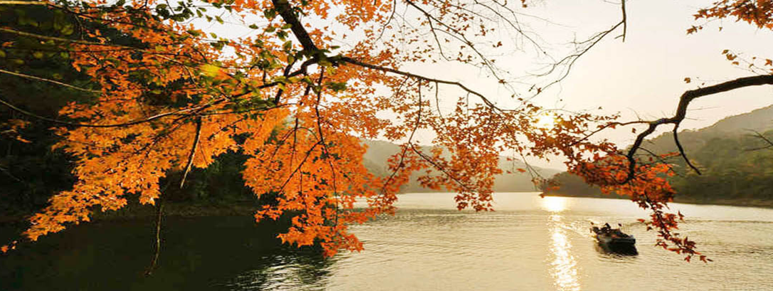 流溪河国家森林公园2封面图