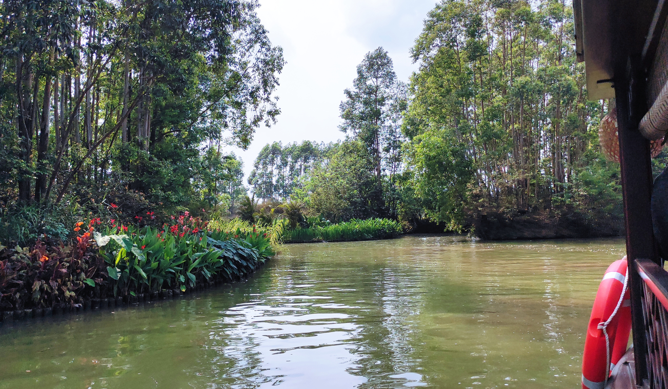 古劳水乡封面图