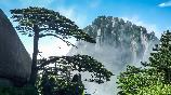 黄山迎客松