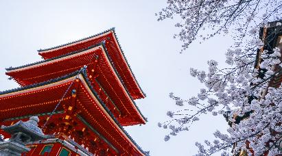 暑期【和风经典】<本州三古都の东京富士山大阪京都奈良镰仓6天>深圳航空深圳往返直飞