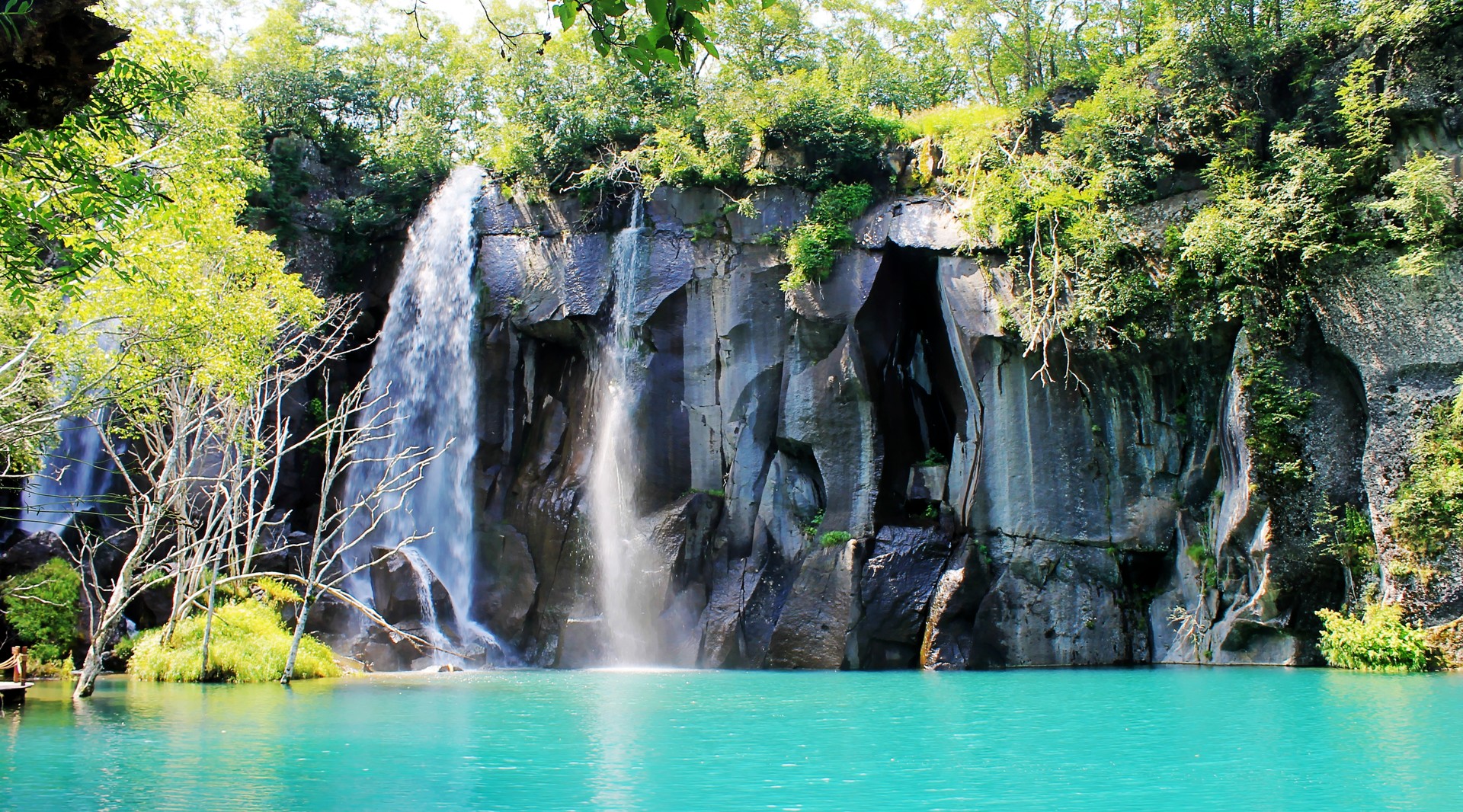 长白山自然保护区封面图