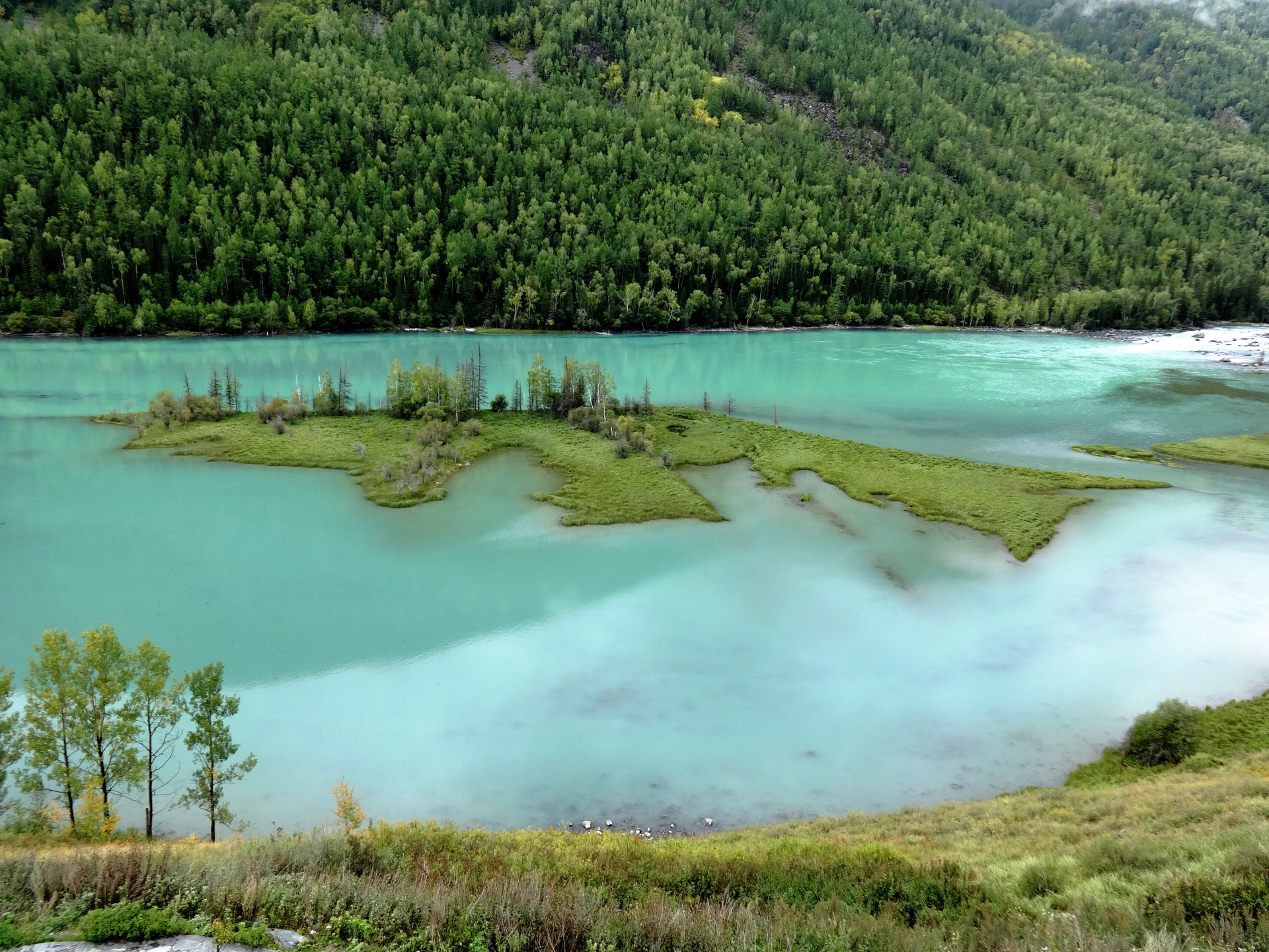 喀纳斯卧龙湾封面图