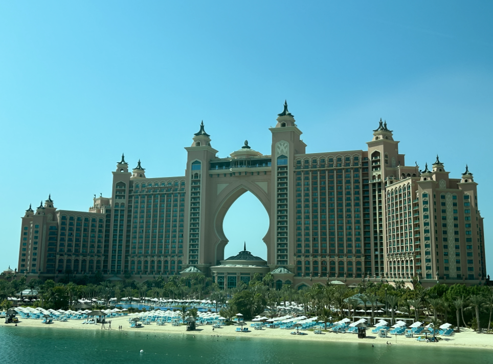 Palm棕榈岛封面图