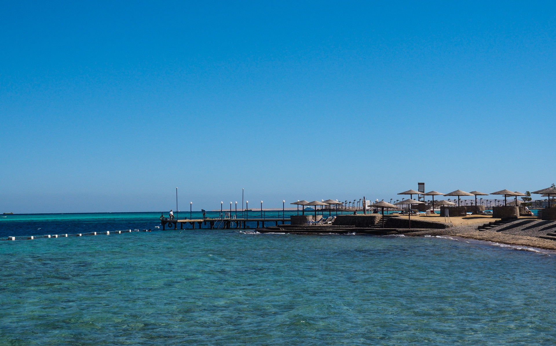 红海之滨封面图