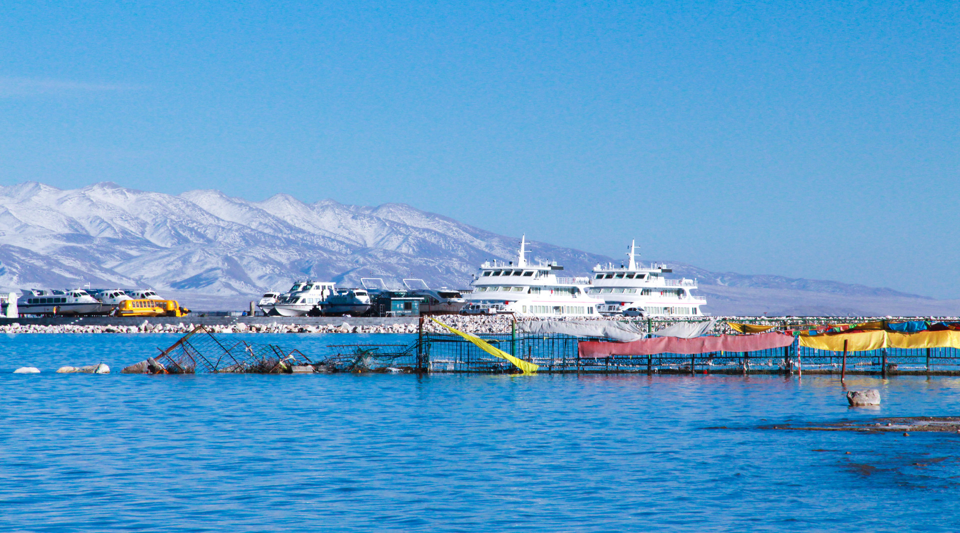 青海湖风光封面图