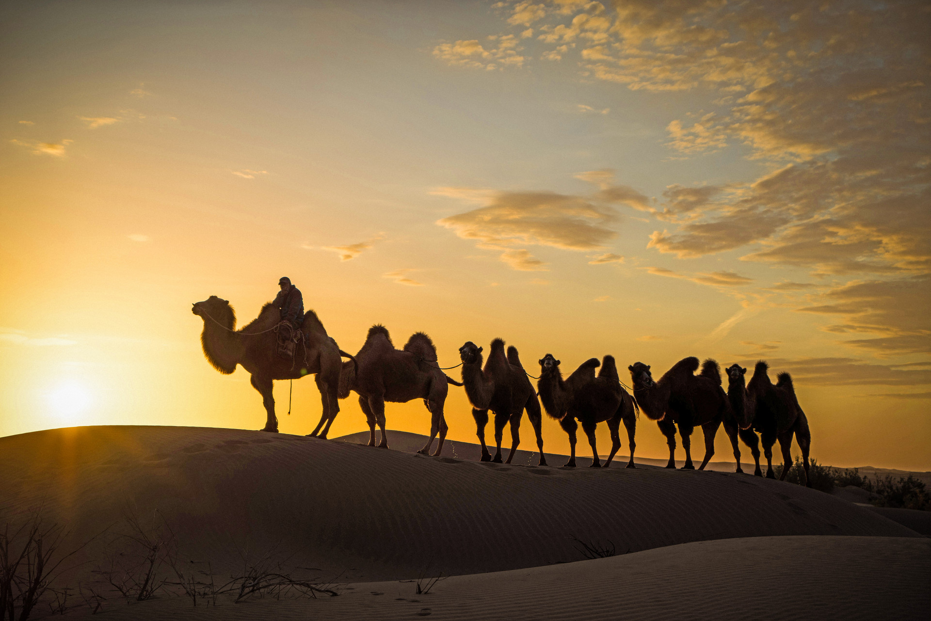 巴丹吉林沙漠封面图