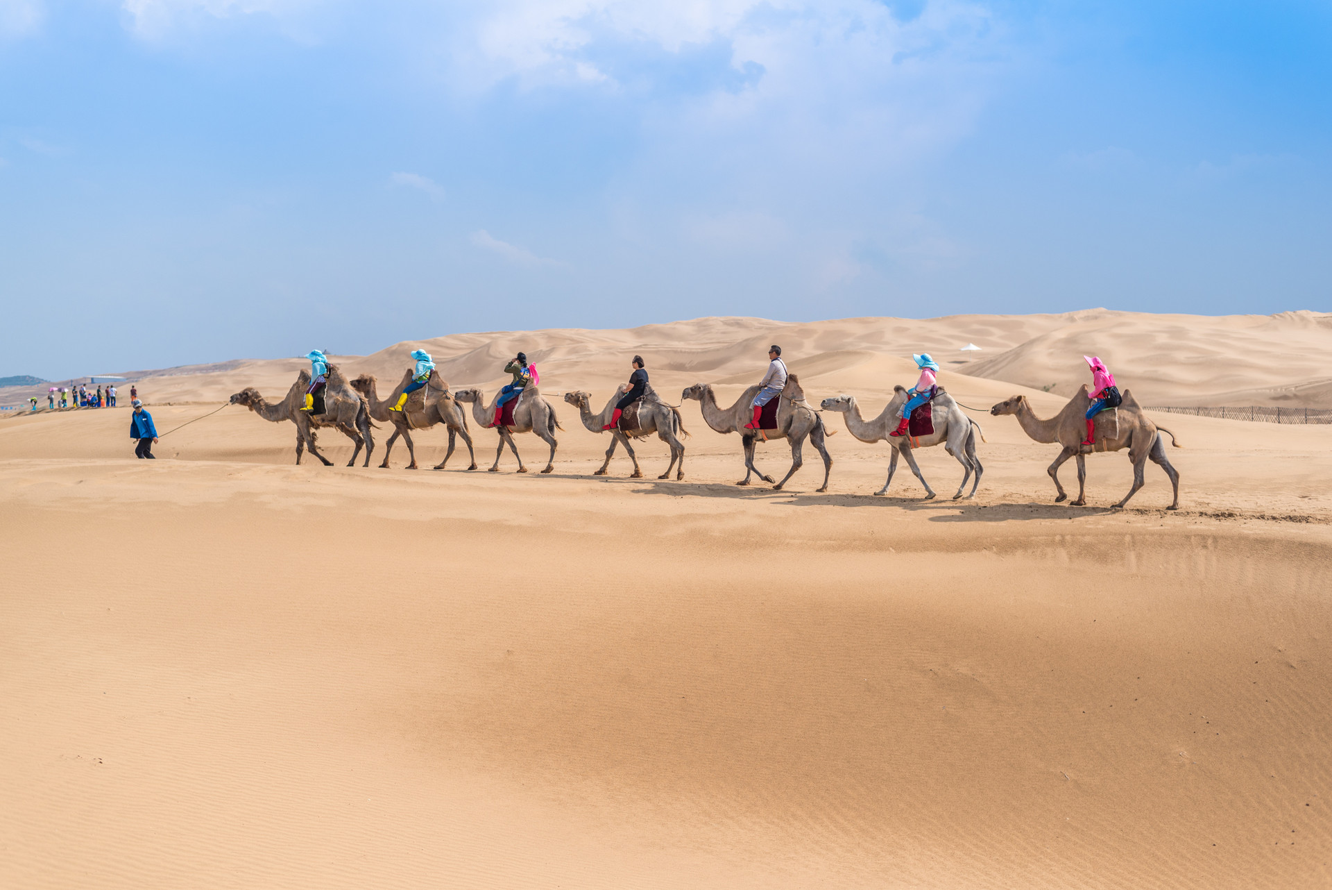 鄂尔多斯封面图