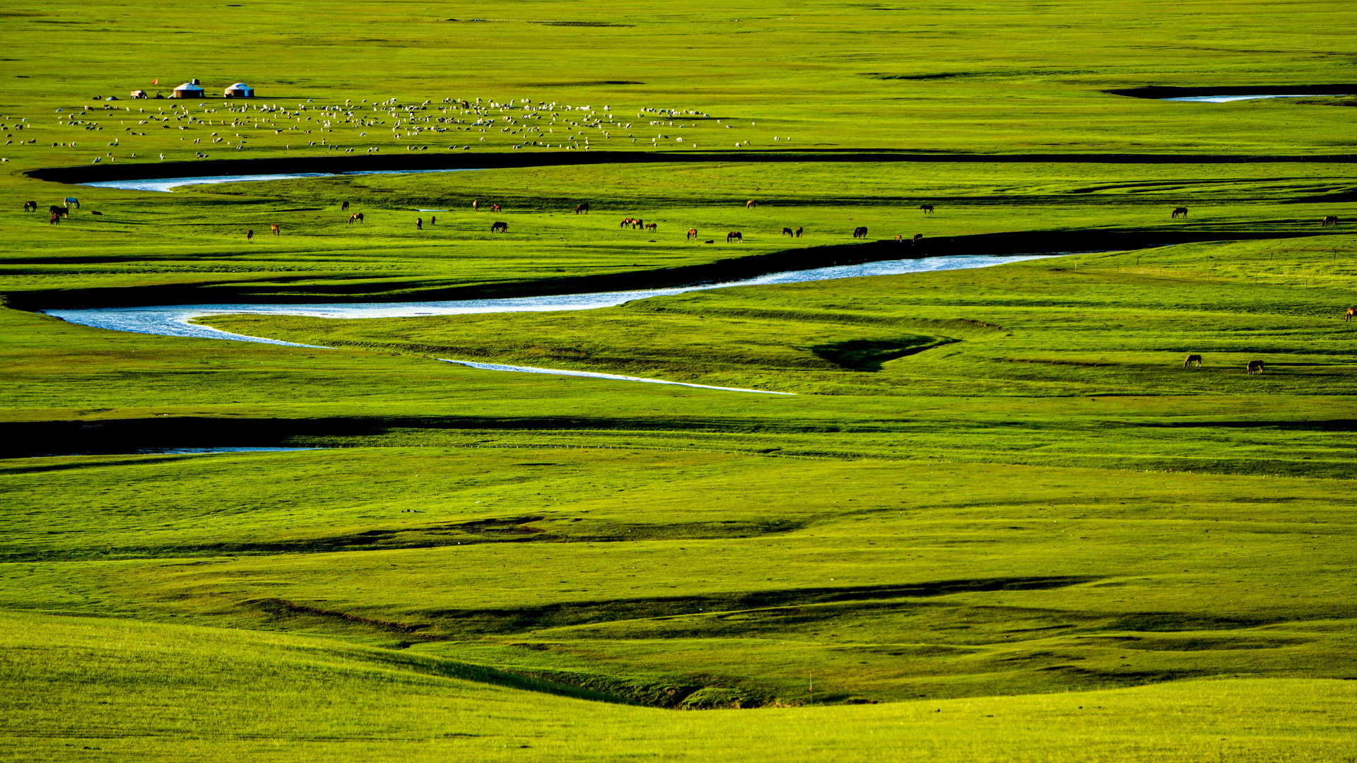莫日格勒河封面图