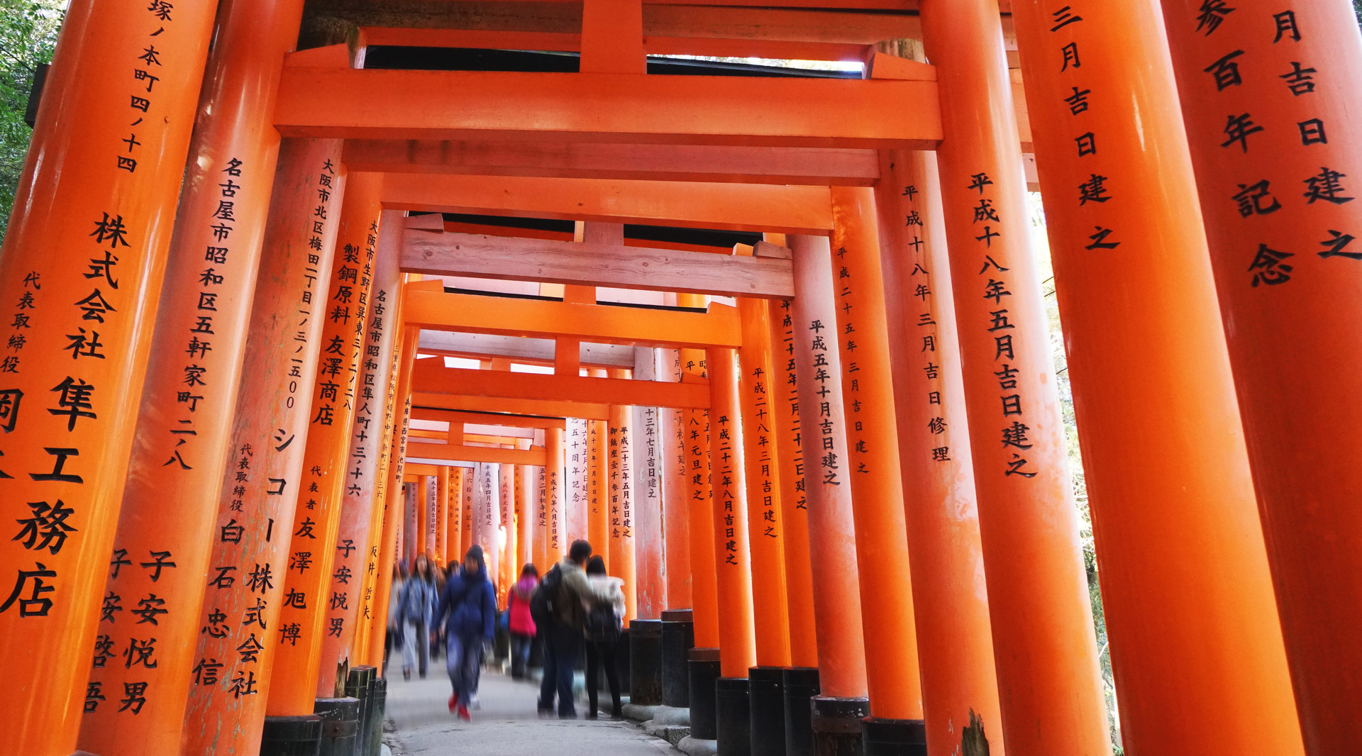 伏见稻荷大社封面图