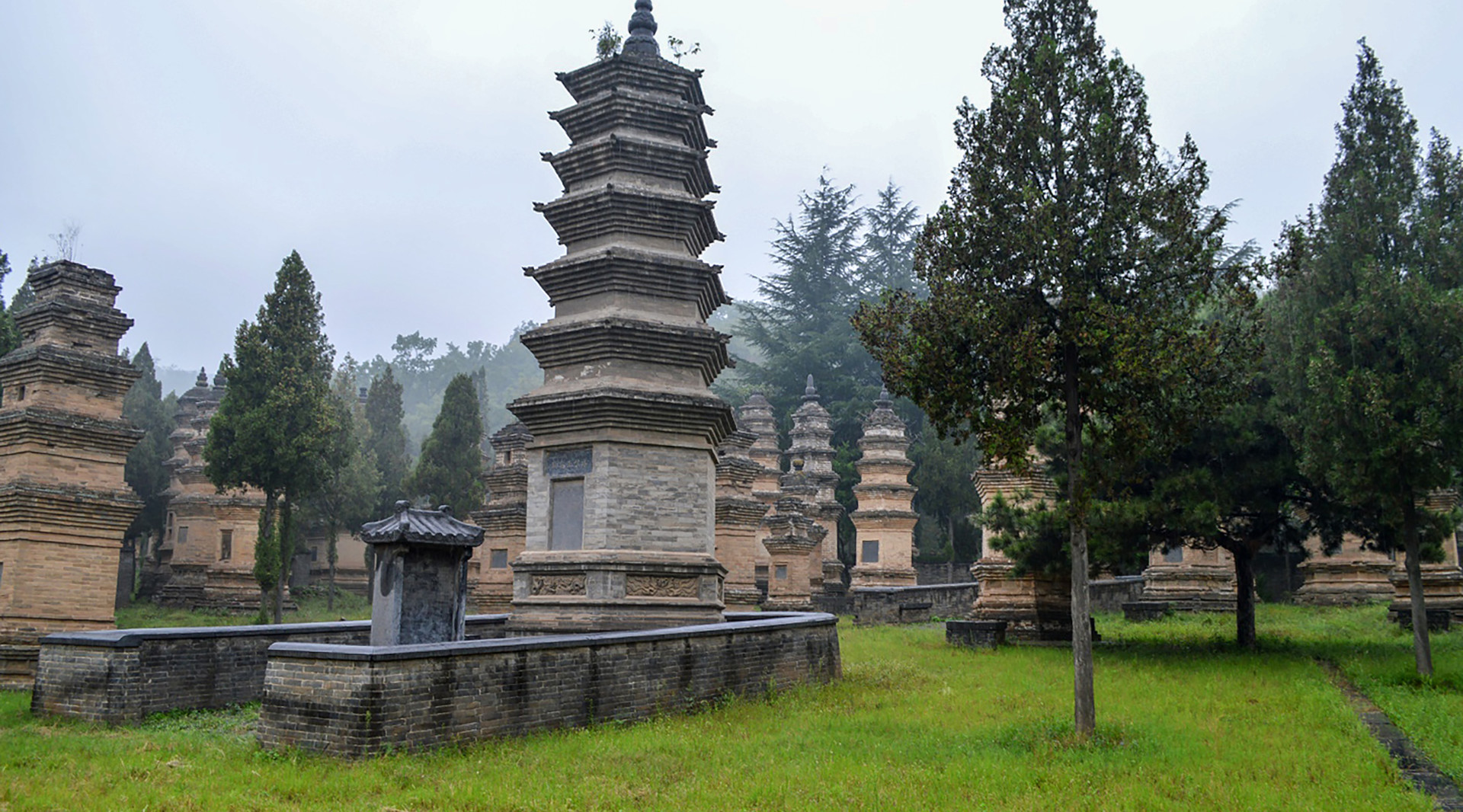 少林寺塔林封面图