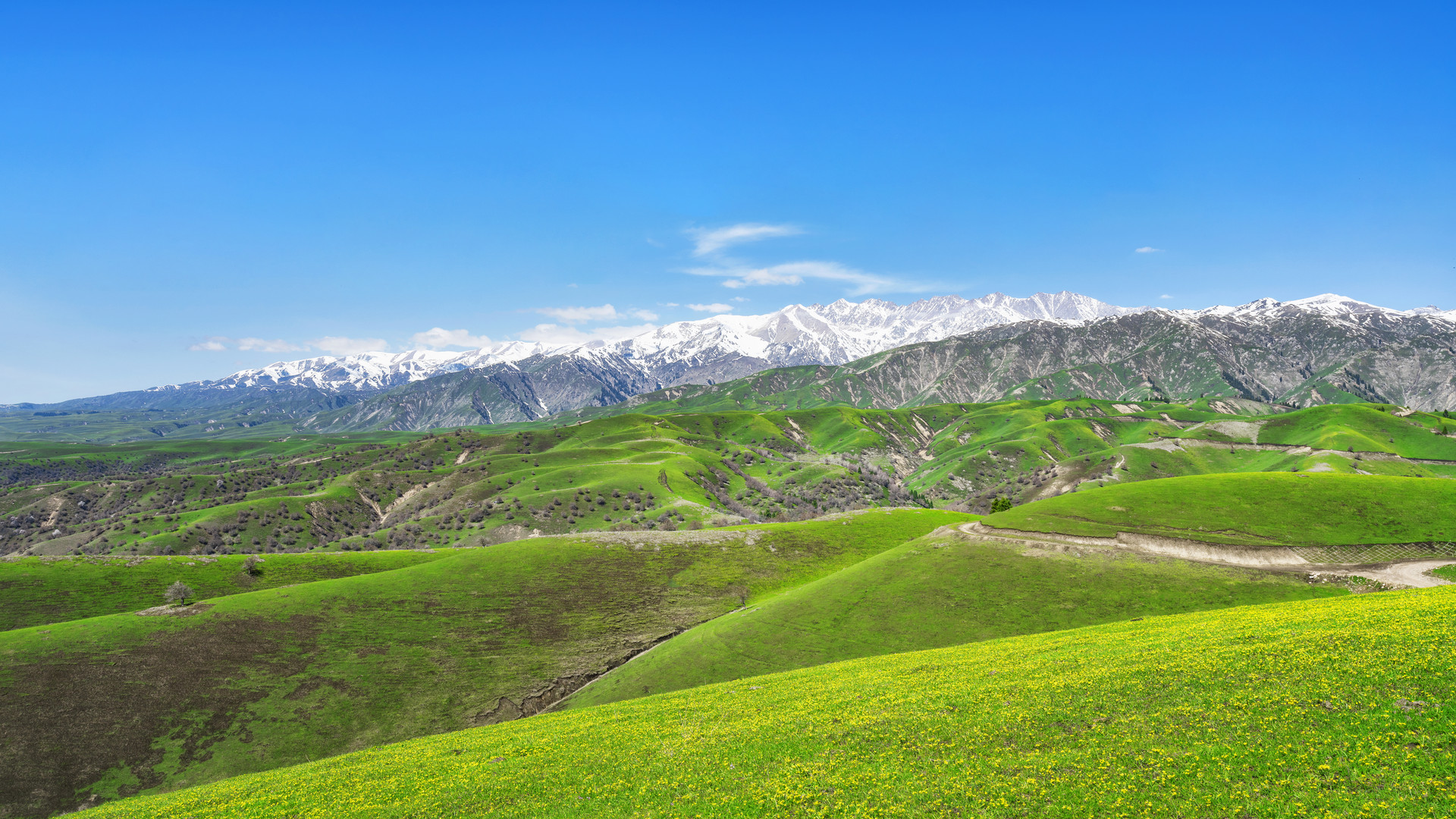 大西沟福寿山封面图