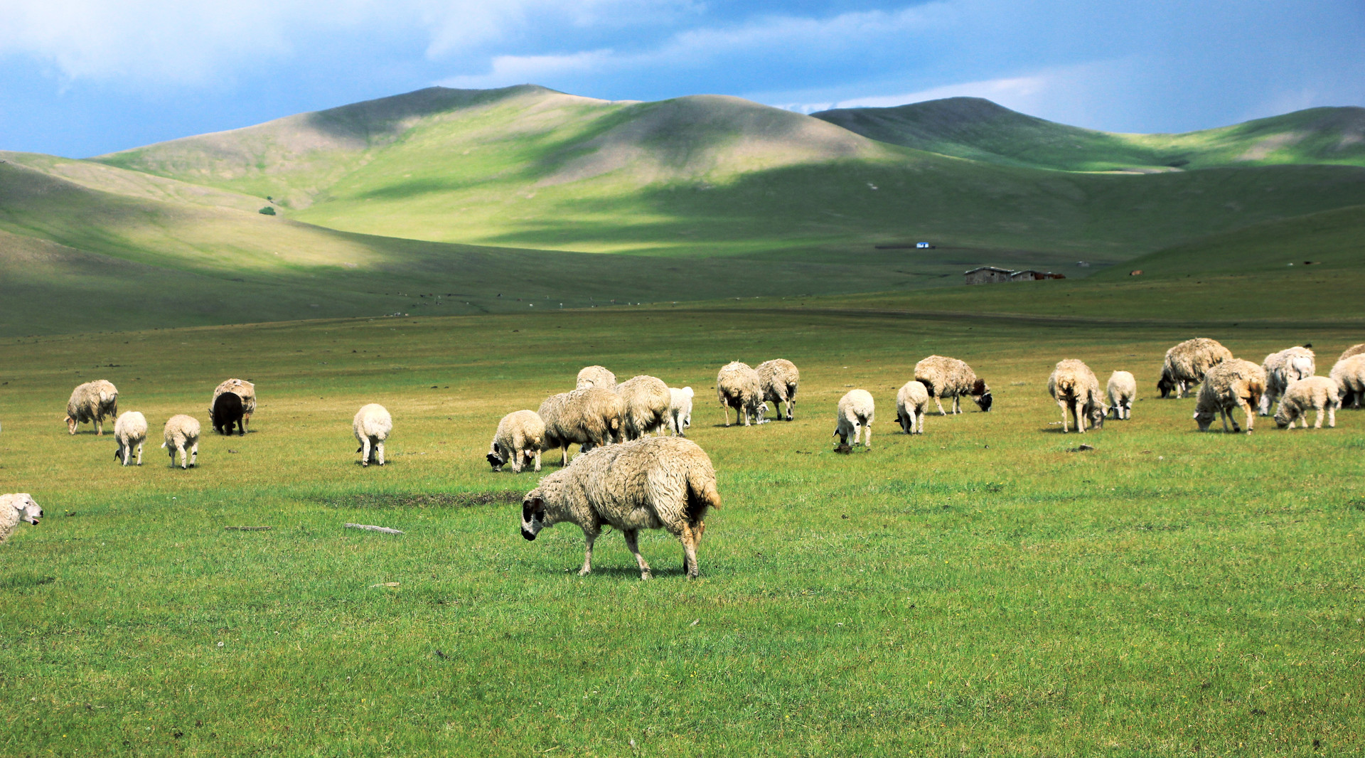 呼伦贝尔封面图