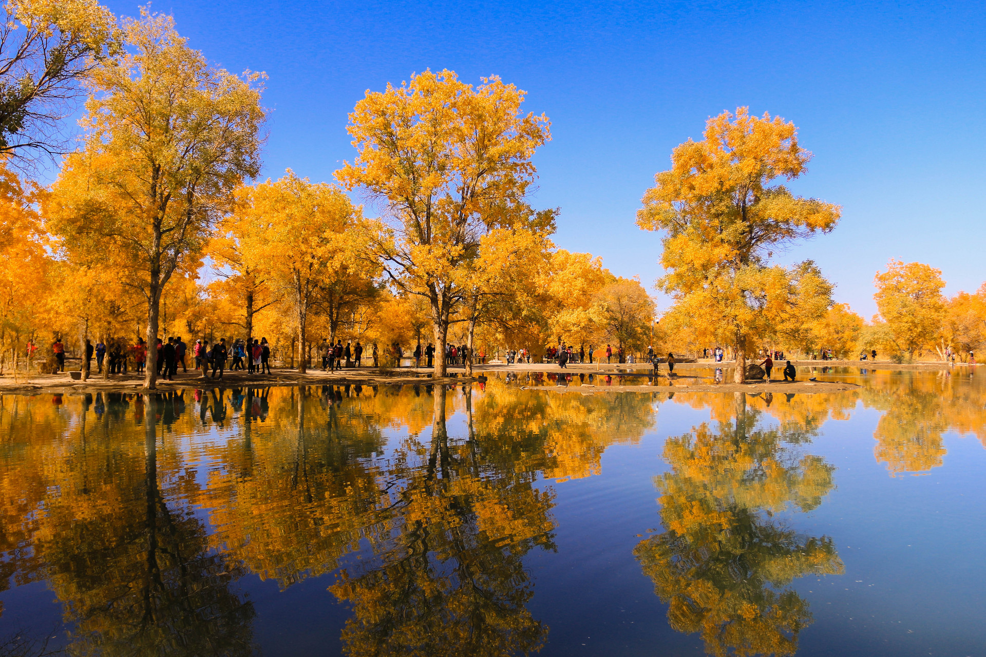 二道桥倒影林封面图