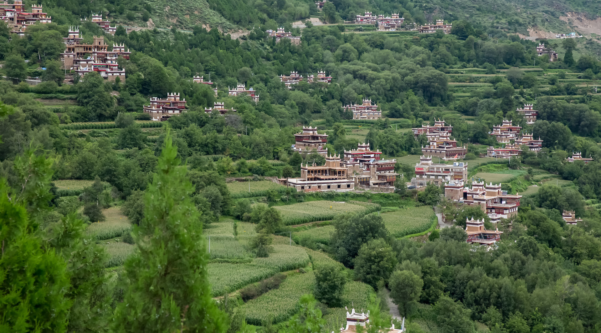 甲居藏寨封面图