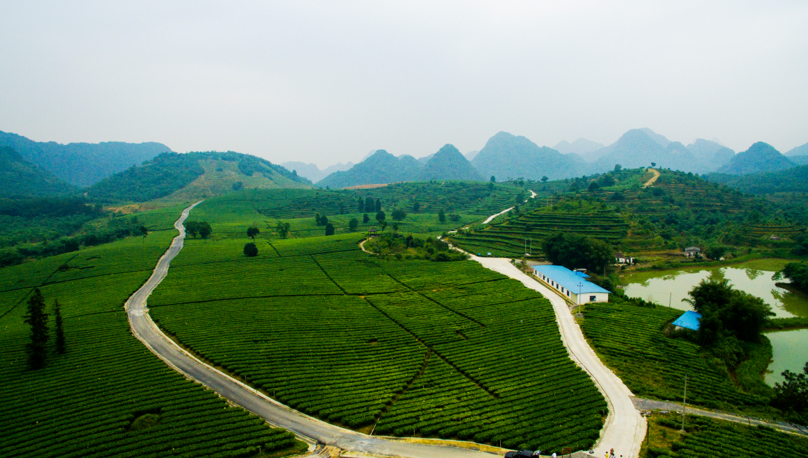 英西峰林封面图