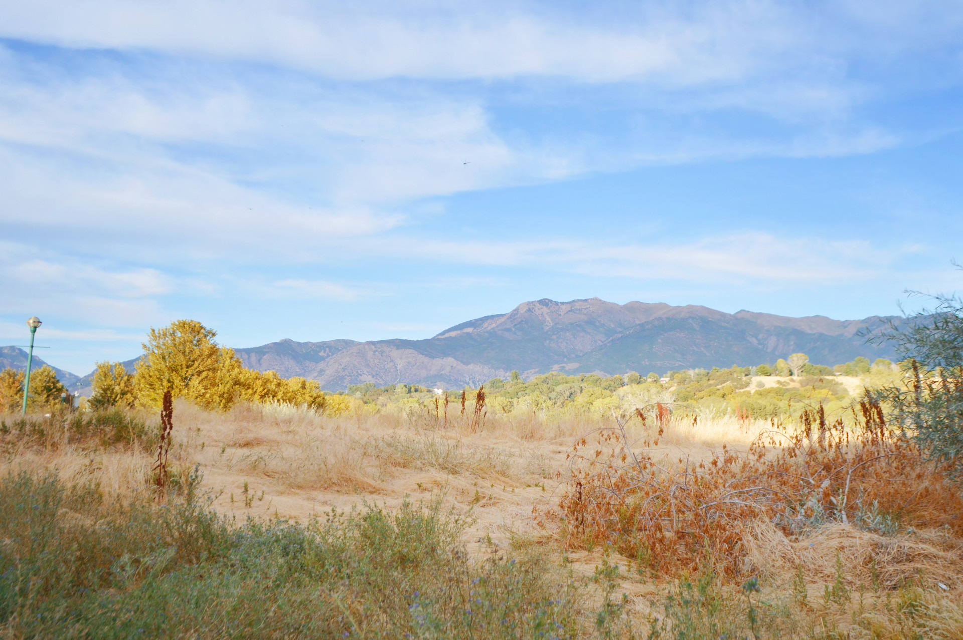 盐湖城城市风光封面图