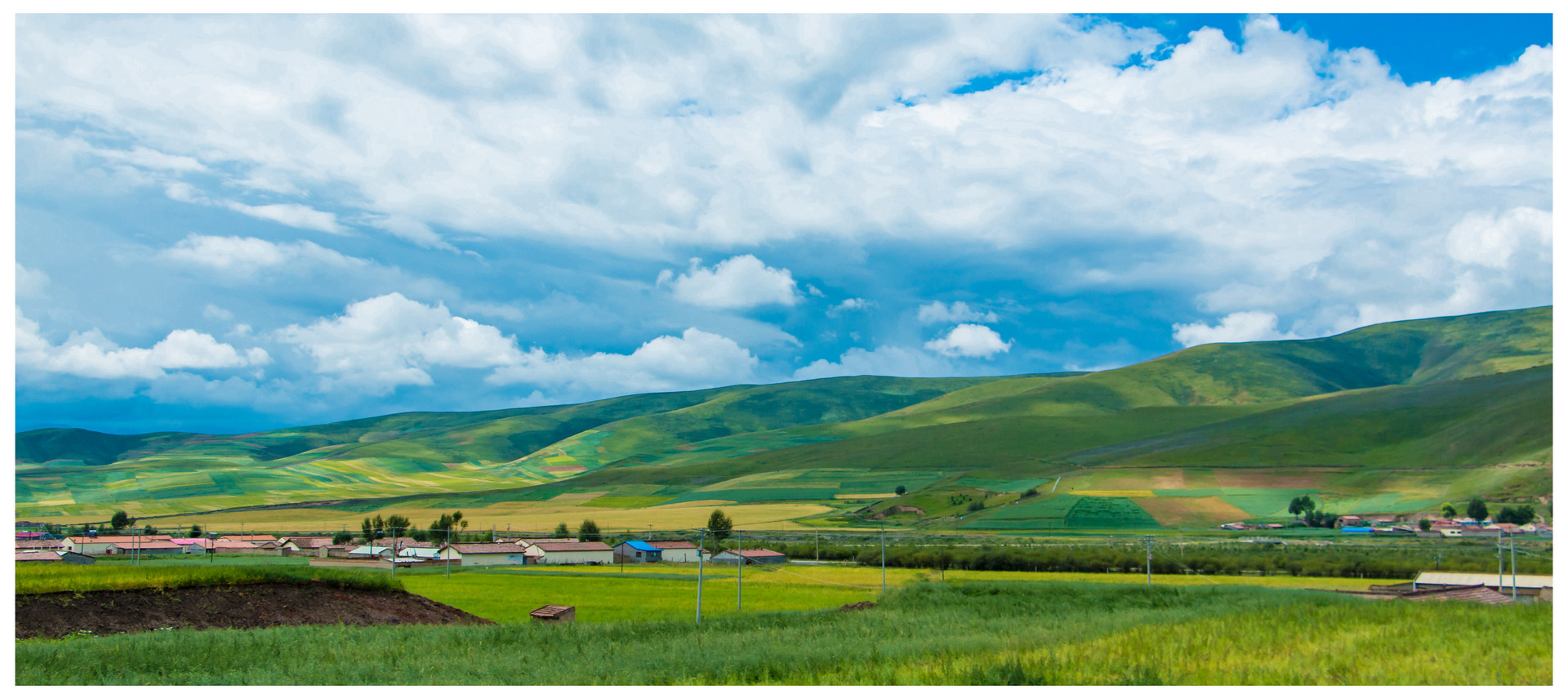 祁连山大草原封面图
