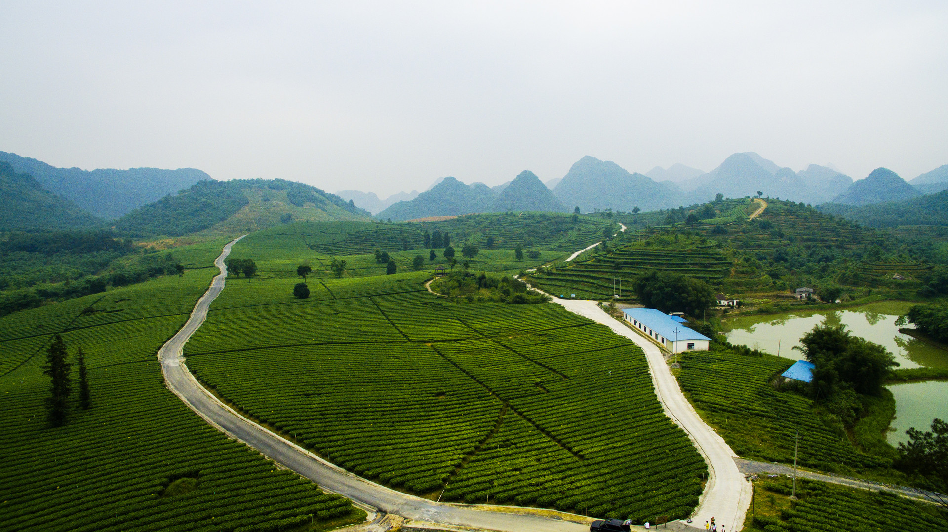 英德茶趣园封面图