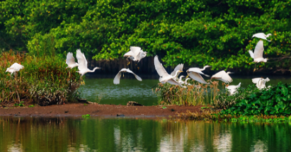 【江门阳江2天】<深中通道、无限次浸泡空中园林温泉赤坎古镇侨乡国际旅游区天麓山海山顶揽胜、十里银滩>