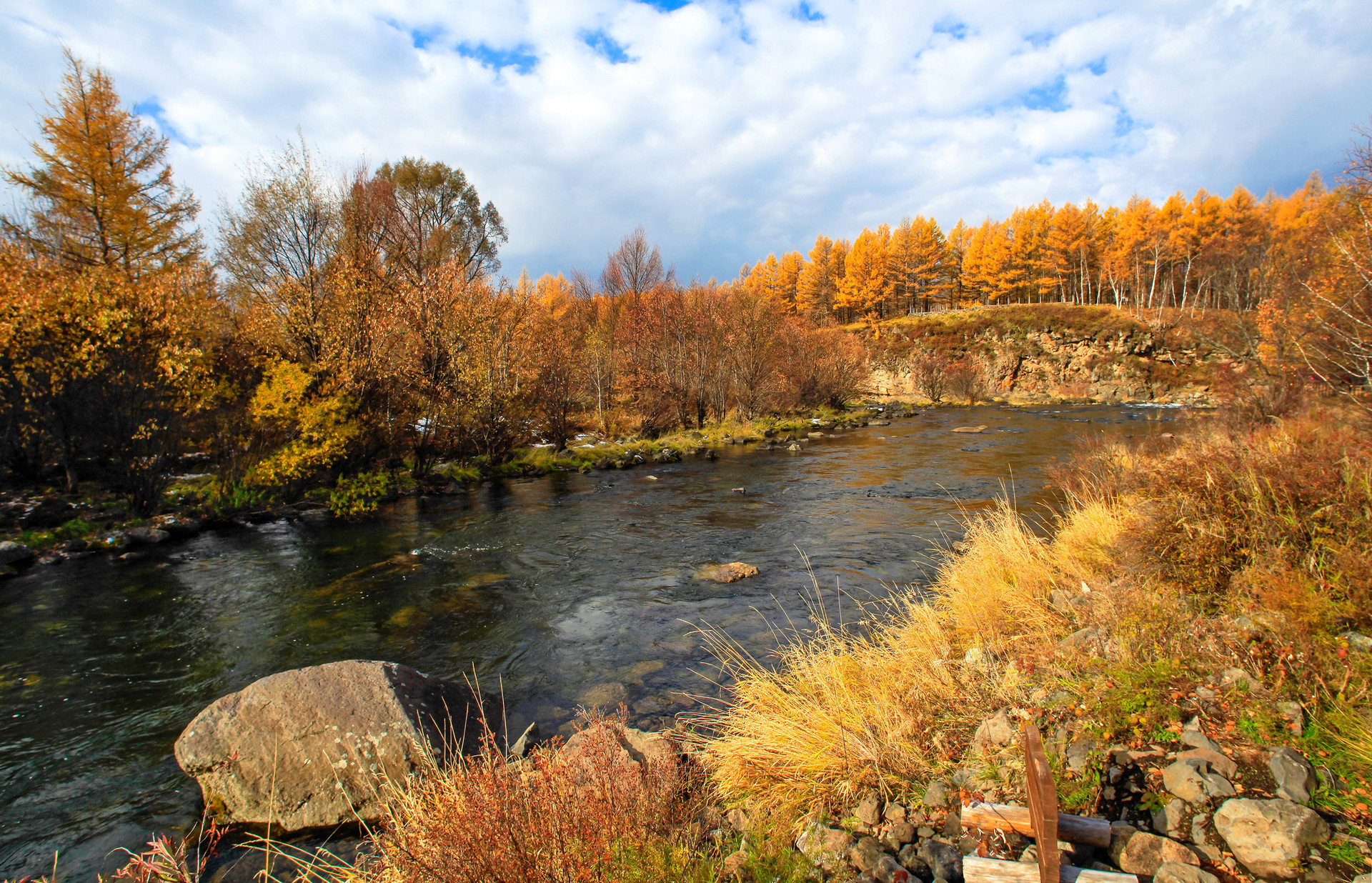 阿尔山国家森林公园封面图
