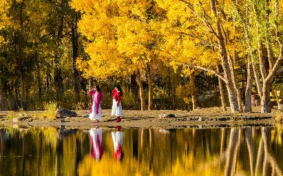 【H8N金塔幻影 青甘风物诗双飞8日】金塔胡杨林·鸣沙山·嘉峪关·青海湖·翡翠湖·茶卡盐湖·黄河风情