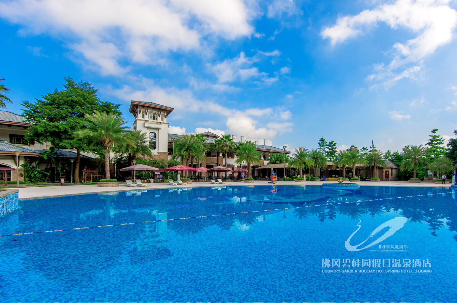 碧桂园温泉封面图