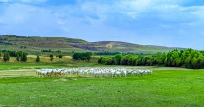 景点：草原牧场